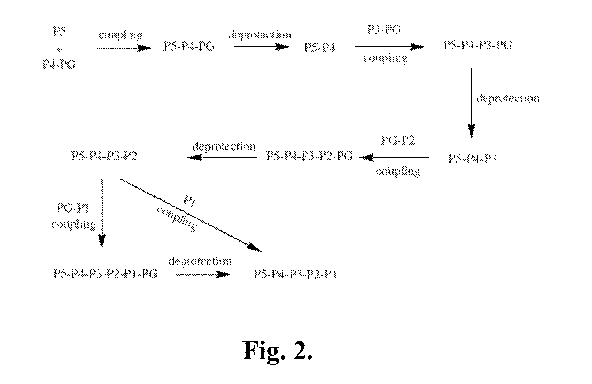 Indoline compounds as granzyme b inhibitors