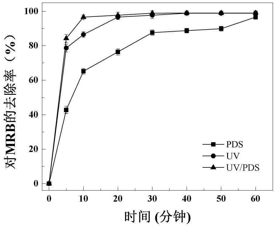 Oxidation method for removing antibiotic resistance genes and resistant bacteria in sewage