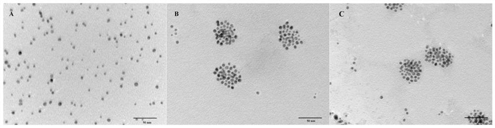 A permeation-enhanced gold nanocluster drug-loaded targeting agent and its preparation method and application