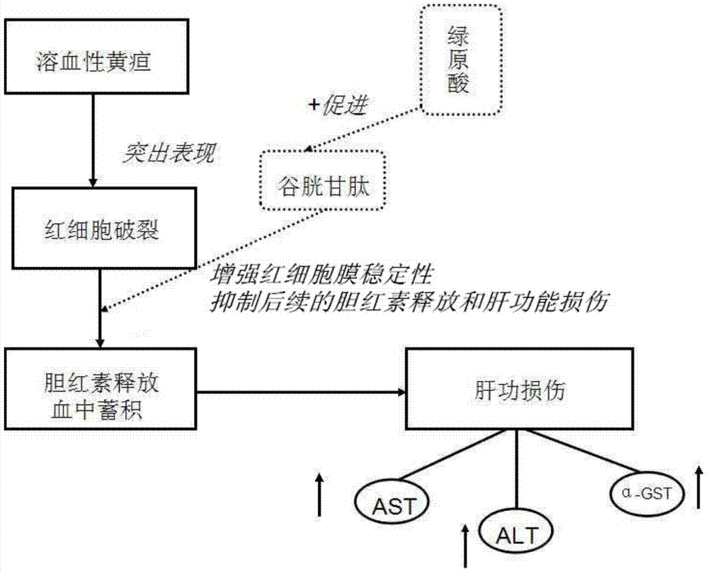 Application of chlorogenic acid in preparation of medicines for treating pathologic jaundice