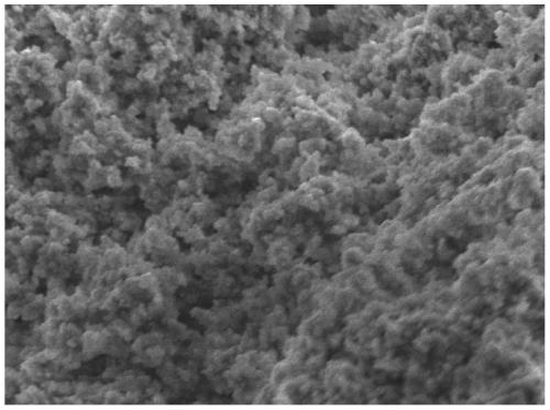 A kind of iron ion imprinting polymer and its preparation method and application