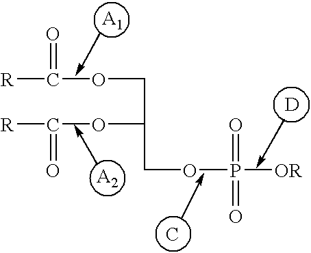 Enzymatic transesterification or hydrolysis of phospholipids in aqueous media