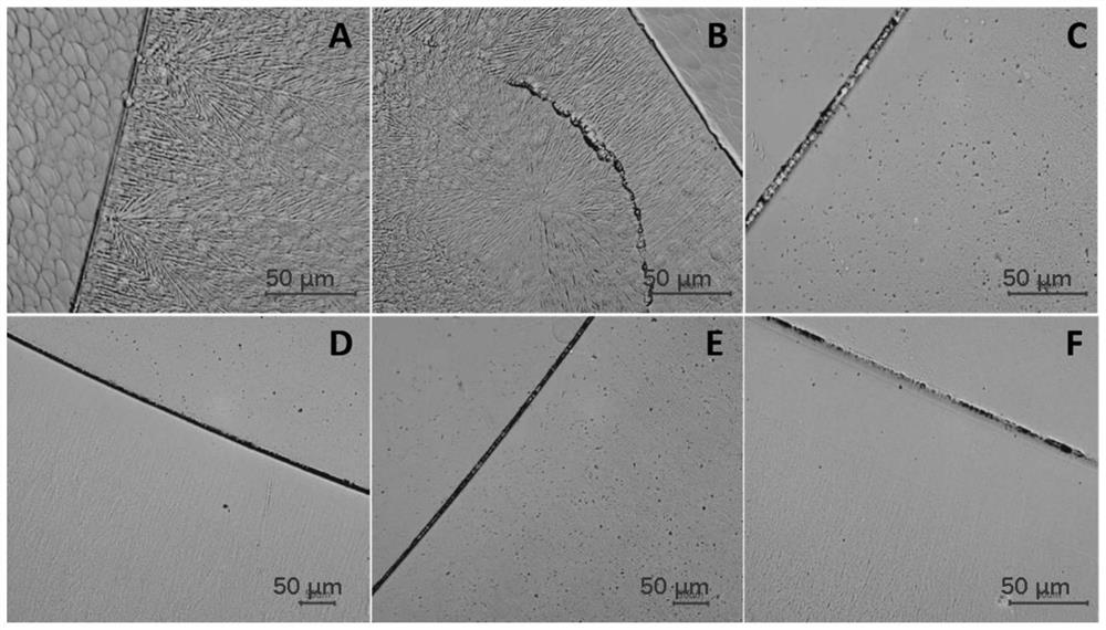 Interface wettability regulation and control method for inhibiting growth of silicon dendrites in CVD process of zone-melting-grade polycrystalline silicon