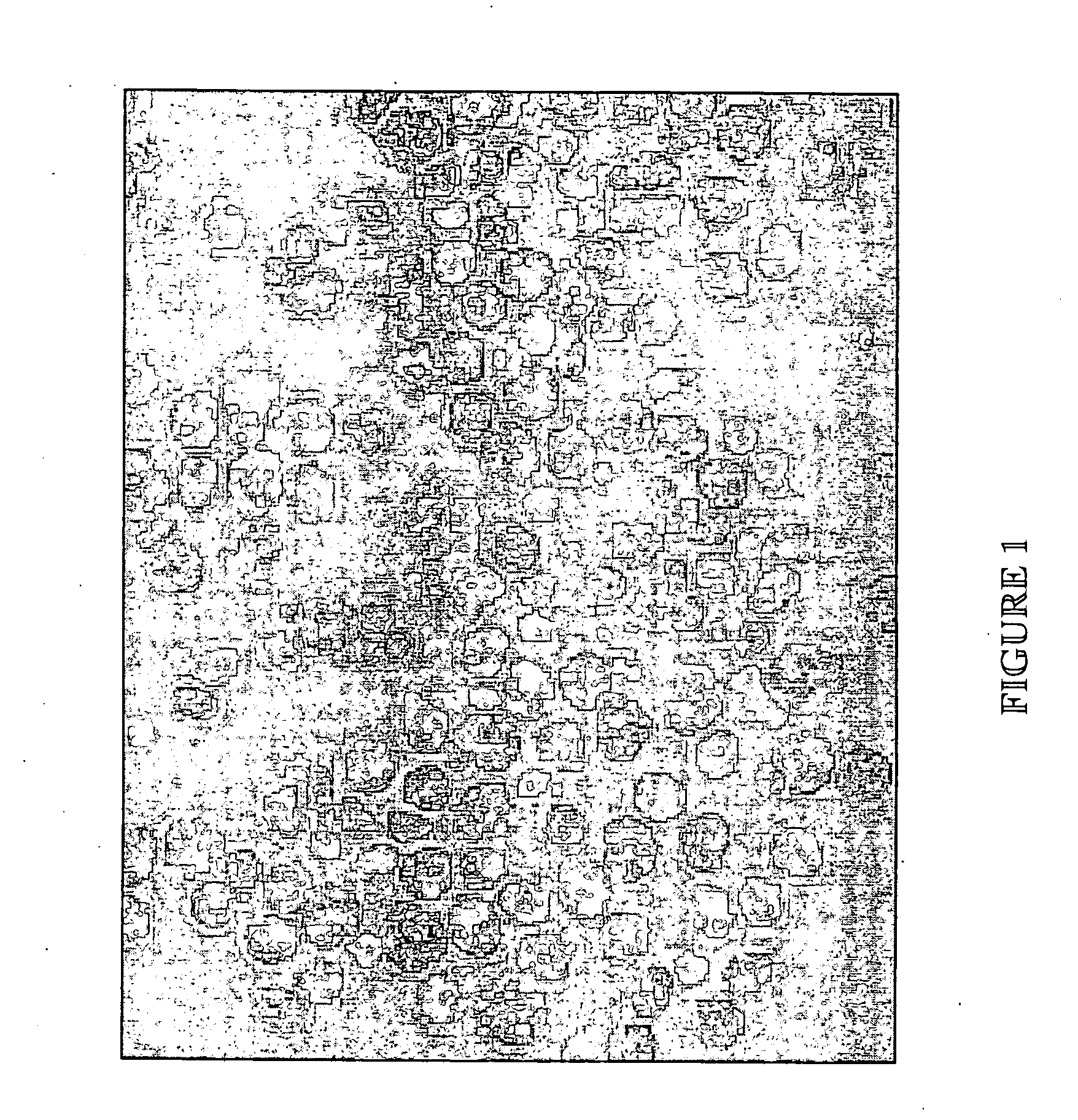 Tissue culture medium for culturing potentially regenerative cells and functional tissue-organs in vitro