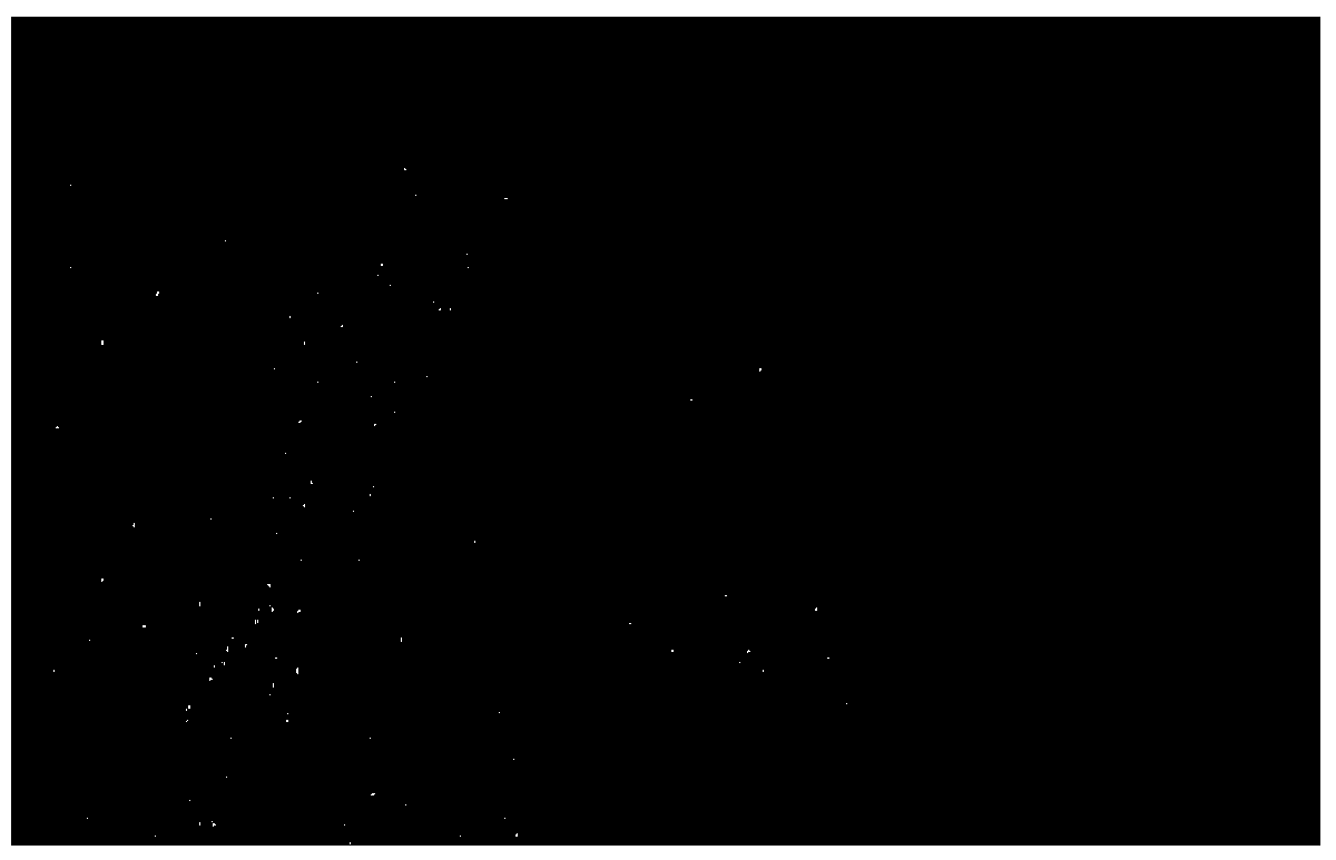 Preparation method for tissue engineering nerves of compound seed cells