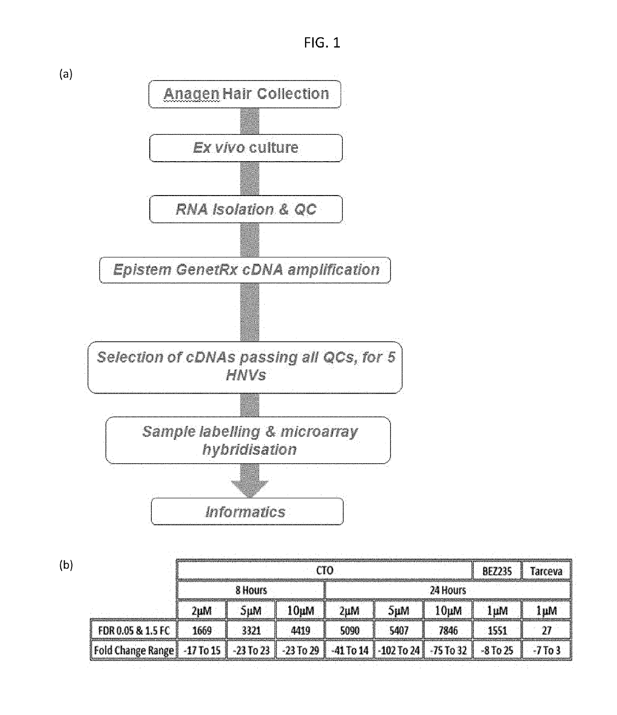 Methods and molecular pharmacodynamic biomarkers for multiple signaling pathways in response to carboxyamidotriazole orotate