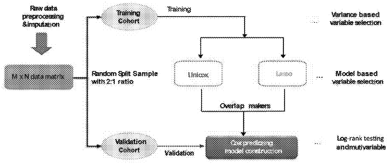 Methylation markers for diagnosing hepatocellular carcinoma and lung cancer