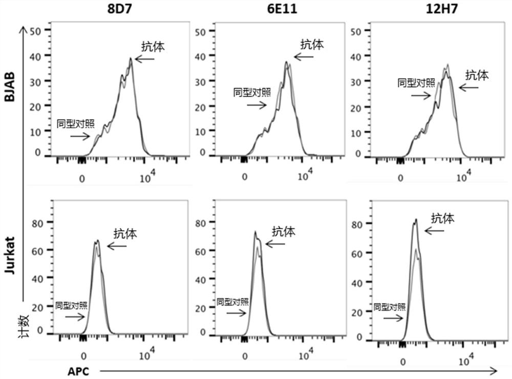 Anti-CD123 antibody and application thereof