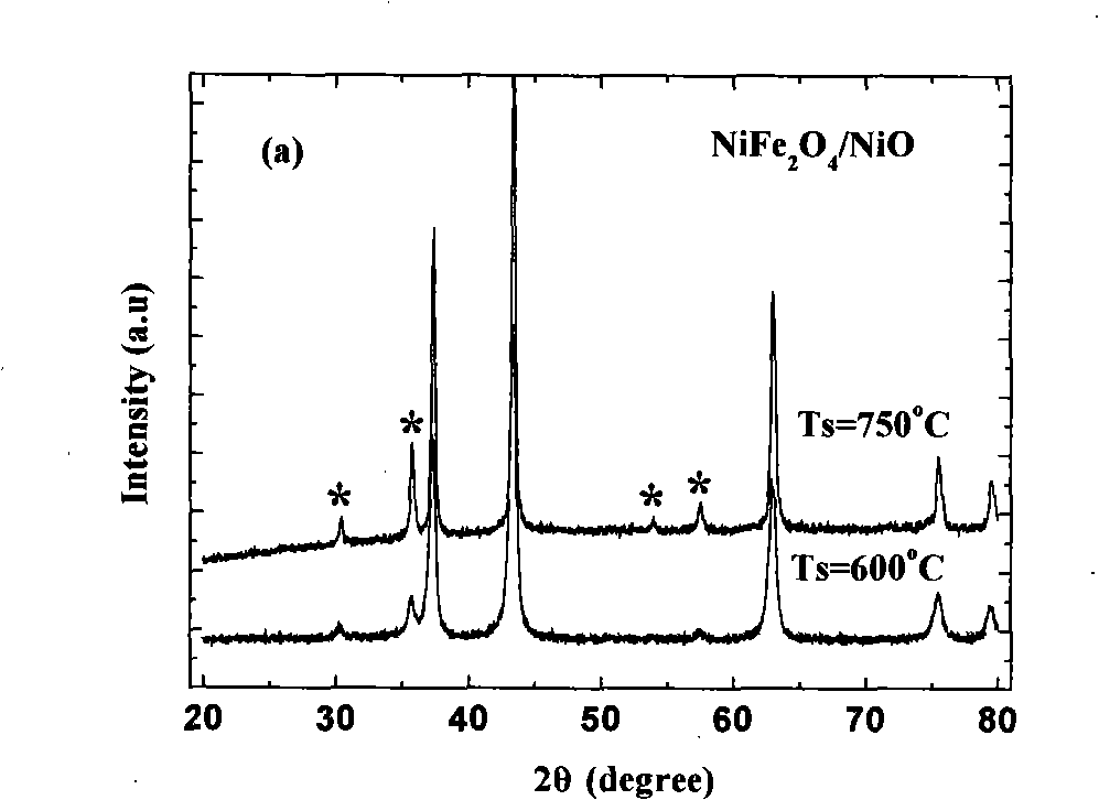 Ferrite nanometer particle embedded antiferromagnetic oxide matrix composite material and preparation method