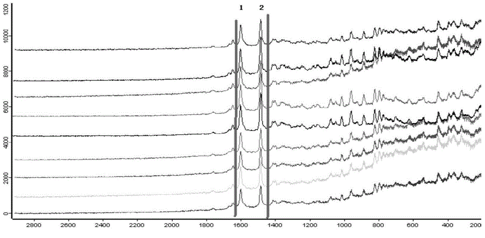 Rapid detection method for drugs on basis of handheld Raman spectrometer and handheld intermediate infrared spectrometer