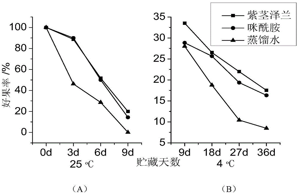 Plant-source composite nano-sized fruit and vegetable antistaling agent as well as preparation method and application thereof