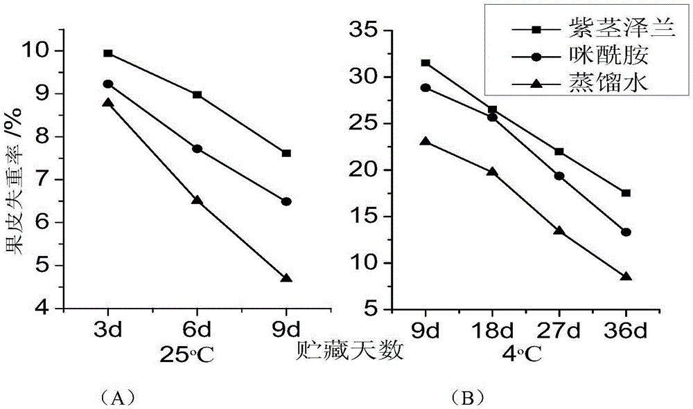 Plant-source composite nano-sized fruit and vegetable antistaling agent as well as preparation method and application thereof