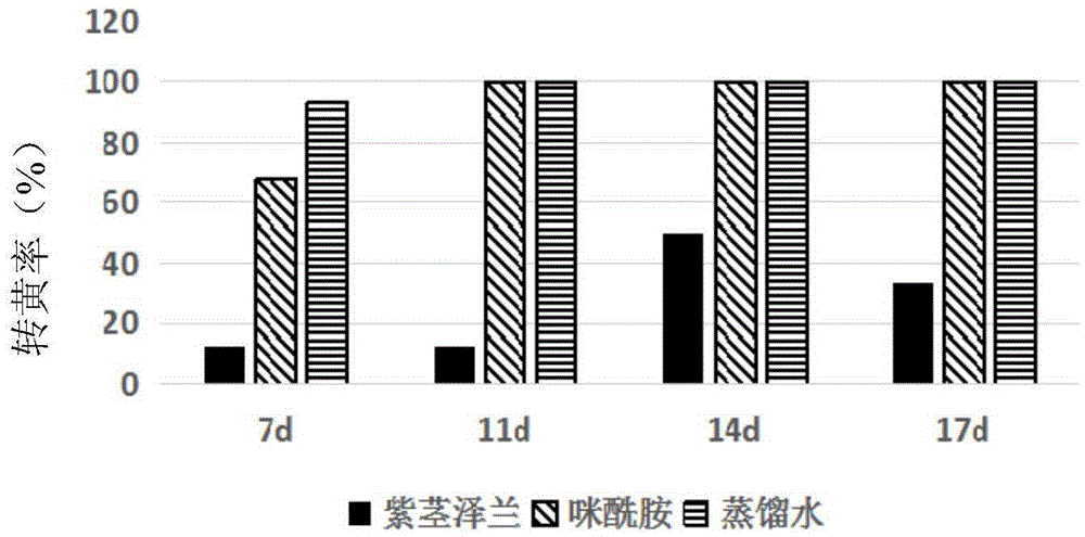 Plant-source composite nano-sized fruit and vegetable antistaling agent as well as preparation method and application thereof