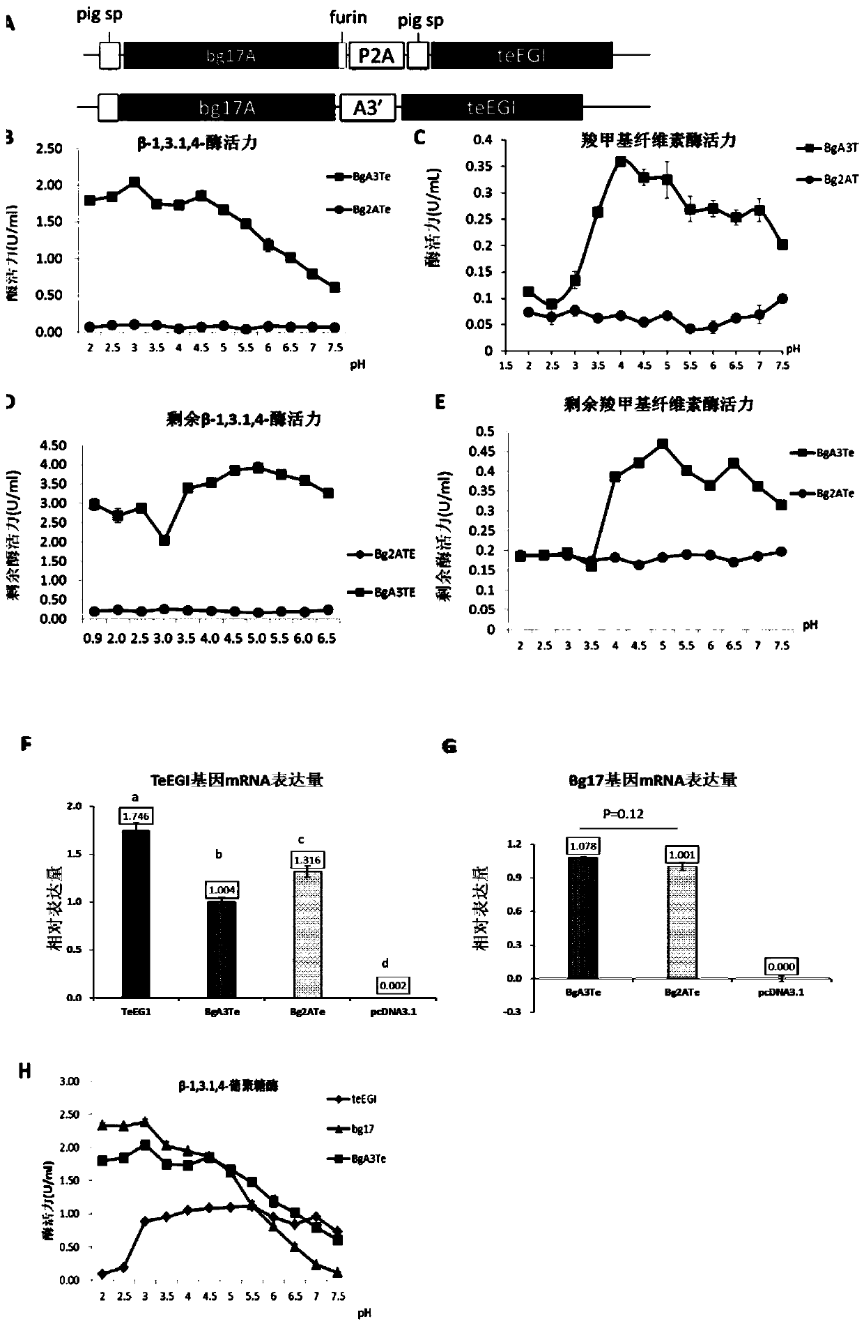 Multifunctional fusion enzyme XABT gene and construction method and application thereof