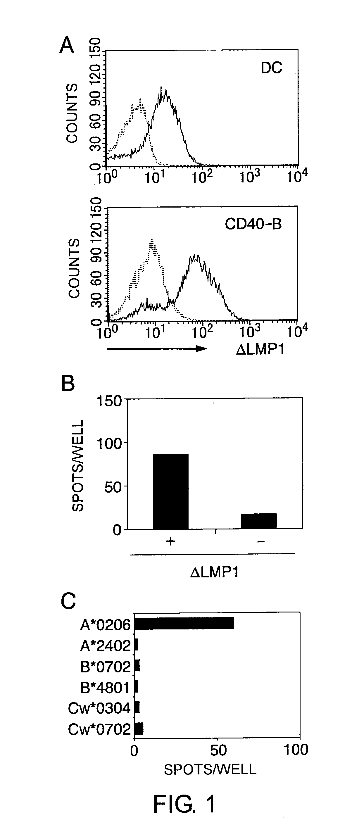 Cytotoxic t-cell epitope peptides that specifically attack epstein-barr virus-infected cells and uses thereof