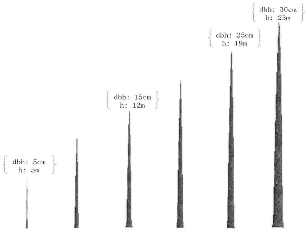 Decomposition model library forest three-dimensional scene simulation method