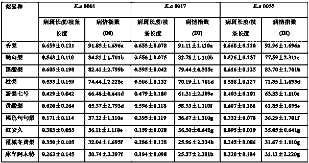 Method for measuring pathogenicity of pear fire blight bacteria by means of in-vitro water culture approach for fragrant pear branches