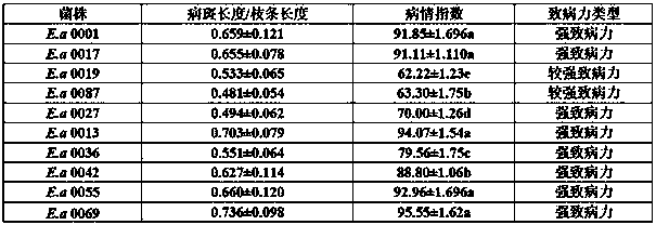 Method for measuring pathogenicity of pear fire blight bacteria by means of in-vitro water culture approach for fragrant pear branches