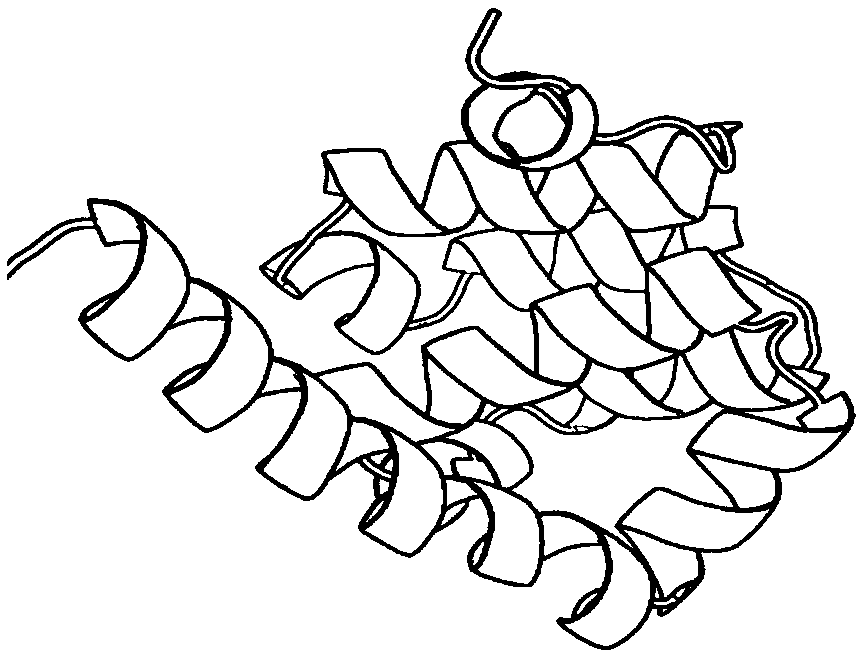 Lower bound estimation strategy adaptive protein structure prediction method