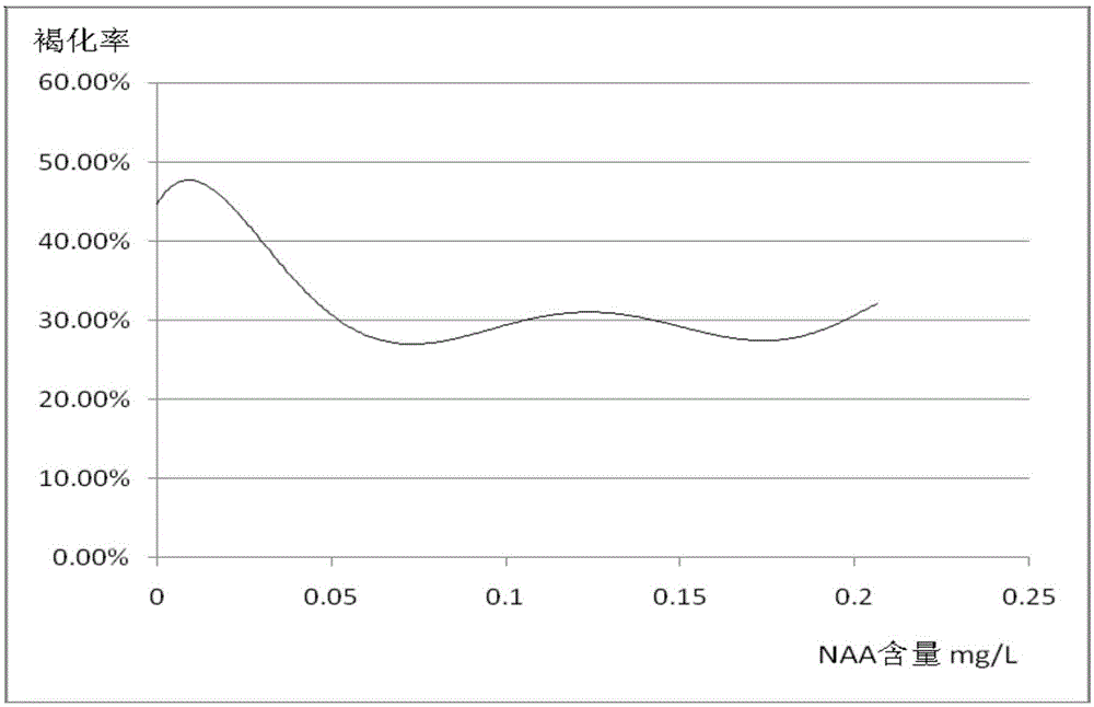 Tissue culture propagation method for reducing tissue culture browning rate of traxacum koksaghyz