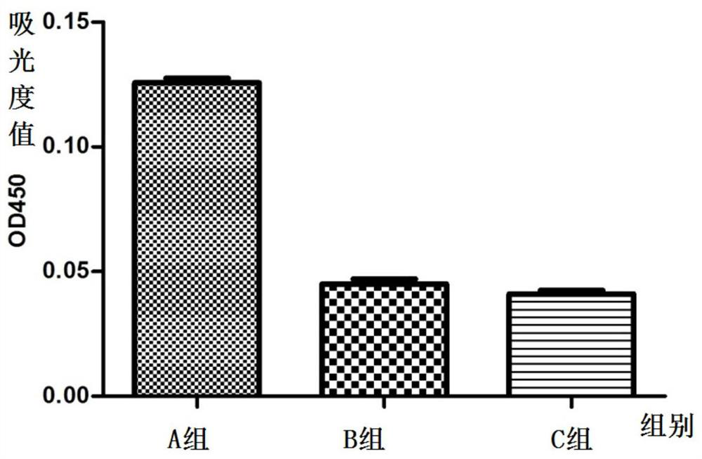 Pneumocystis carinii recombinant protein as well as preparation method and application thereof