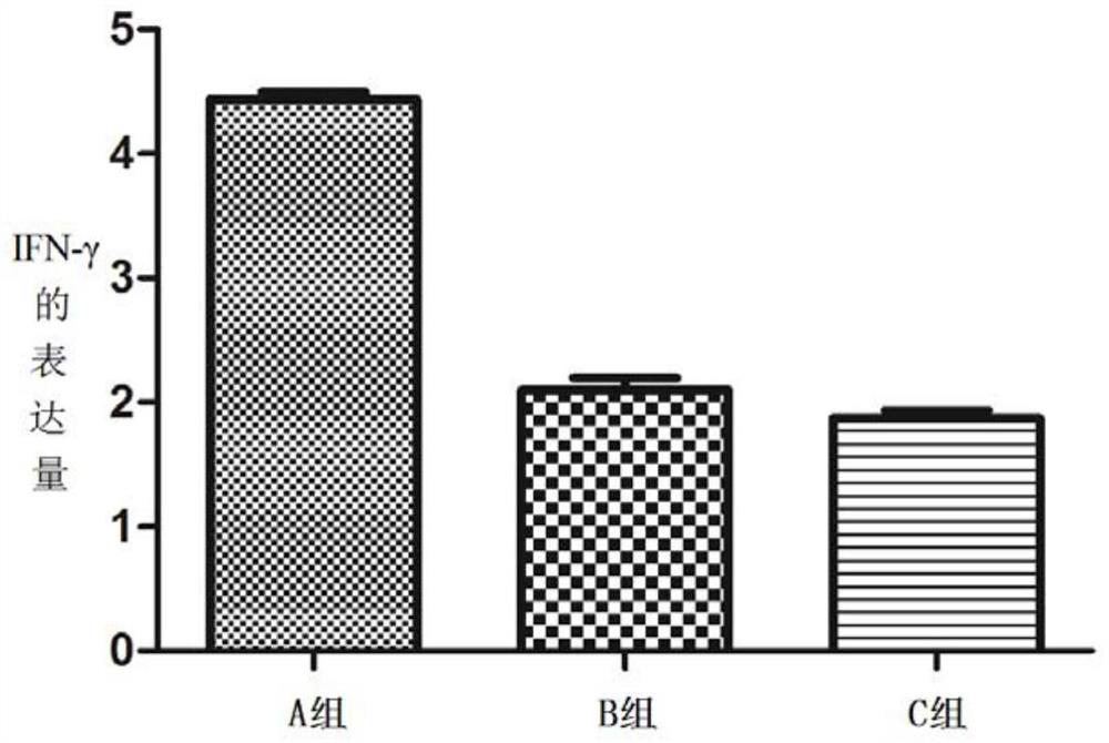 Pneumocystis carinii recombinant protein as well as preparation method and application thereof