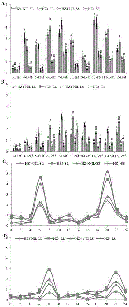 Method for breeding early-blossoming corn by adopting corn gene ZmDPS10-2 and applications of method