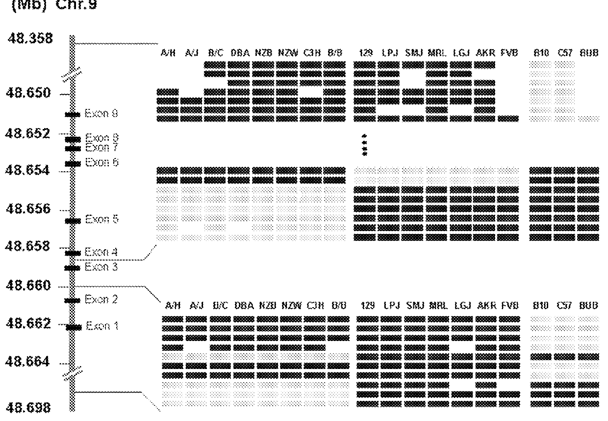 Methods and compositions for treating or preventing narcotic withdrawal symptoms