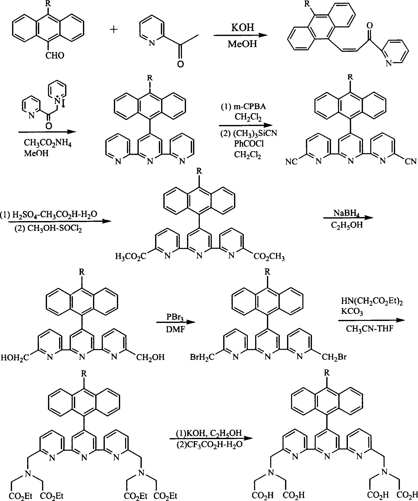 Singlet oxygen europium coordination compound fluorescent probe and application thereof