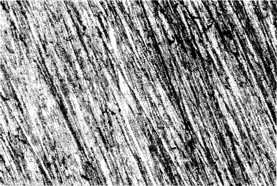 Method for chemical plating nickel-boron alloy on magnesium alloy surface