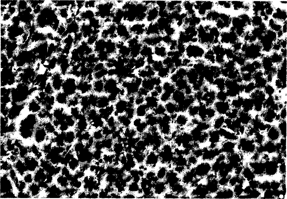 Method for chemical plating nickel-boron alloy on magnesium alloy surface