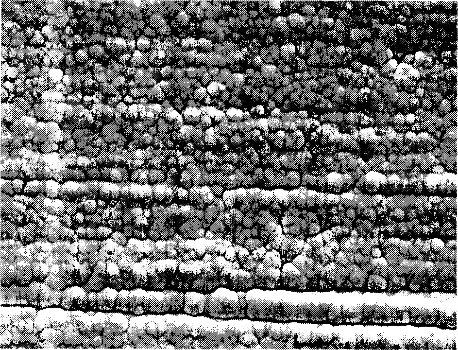 Method for chemical plating nickel-boron alloy on magnesium alloy surface