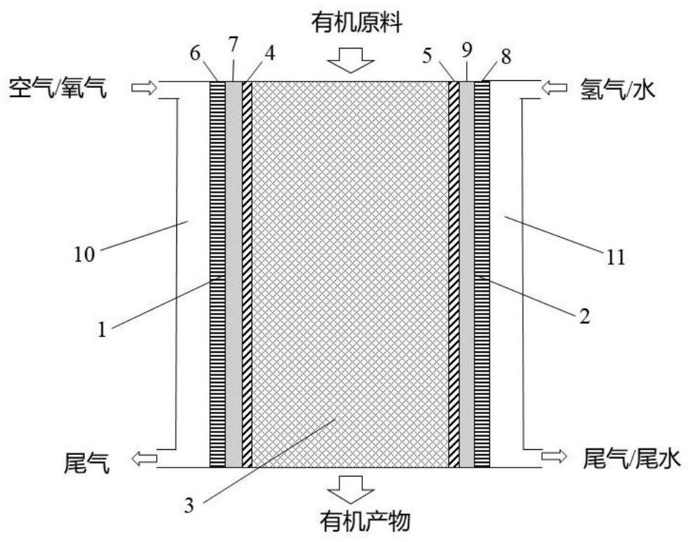 Device and method for coupled electro-catalytic hydrogen peroxide production and selective organic matter oxidation