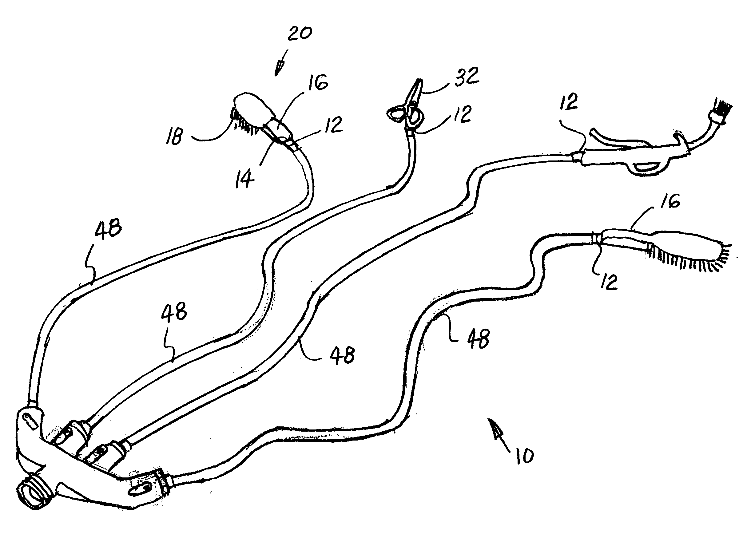 Fish cleaning apparatus