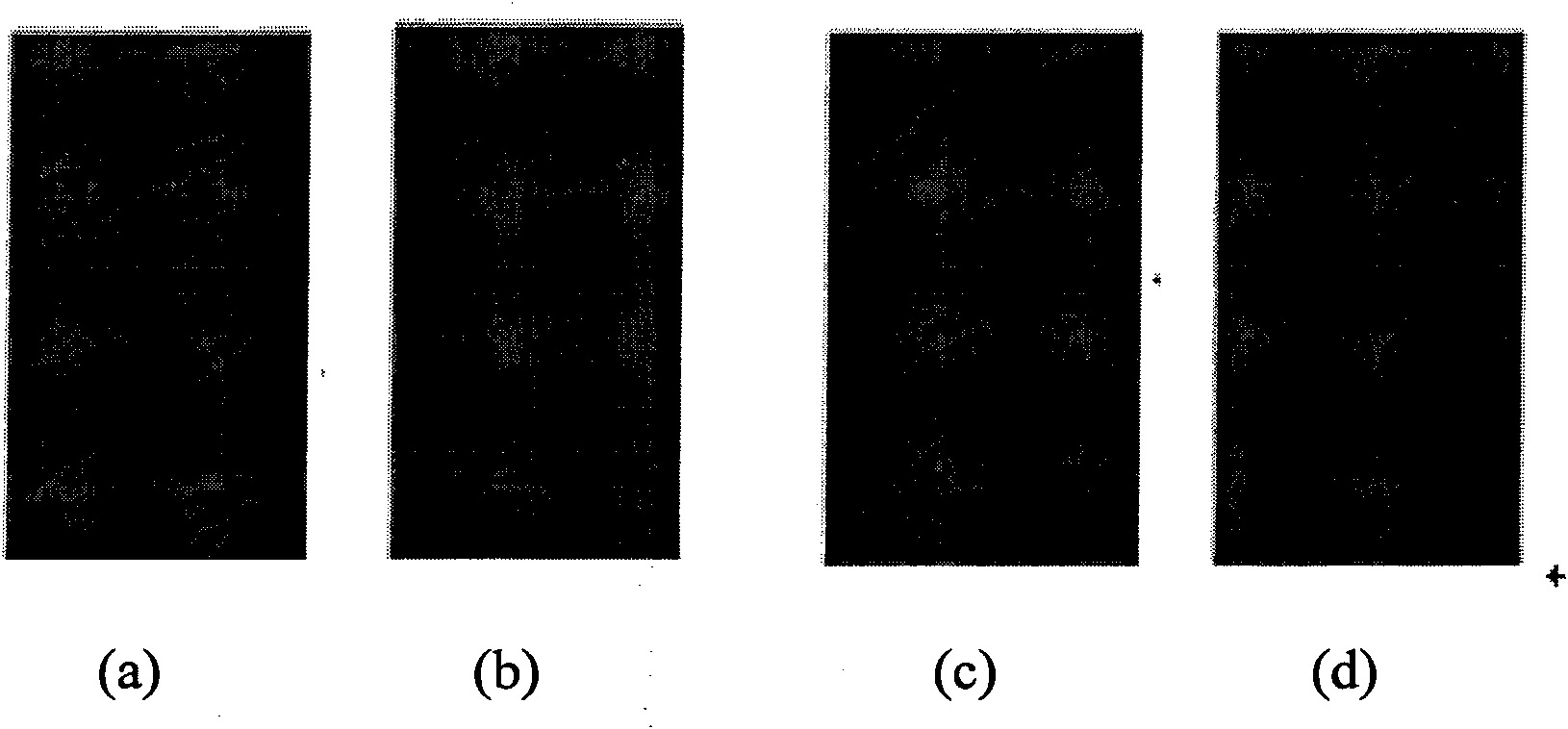 Wool knitted fabrics shape-remembering finishing agent as well as preparation method and application thereof