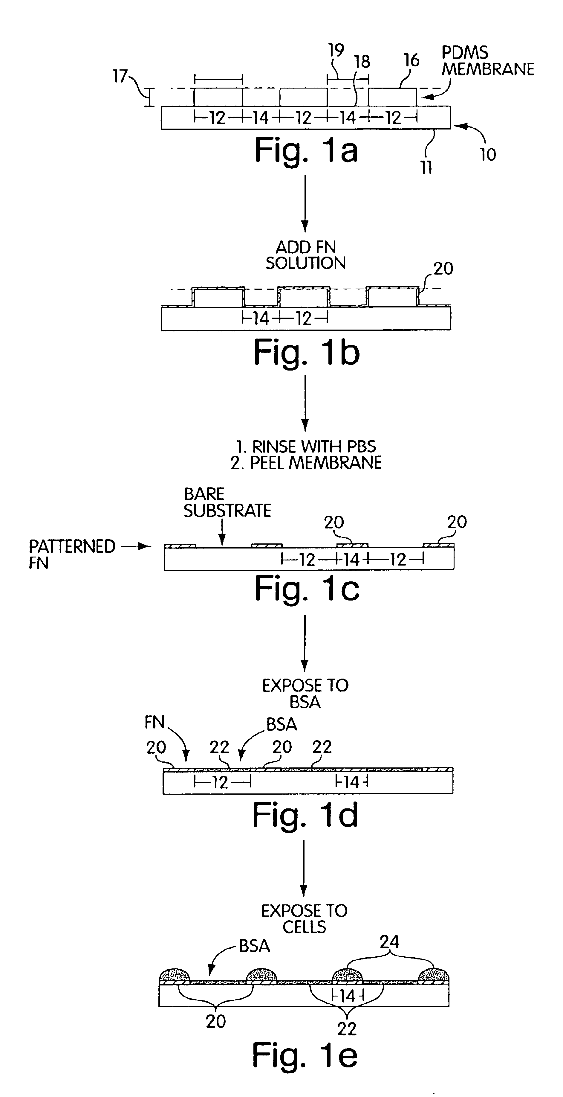 Method for cell patterning