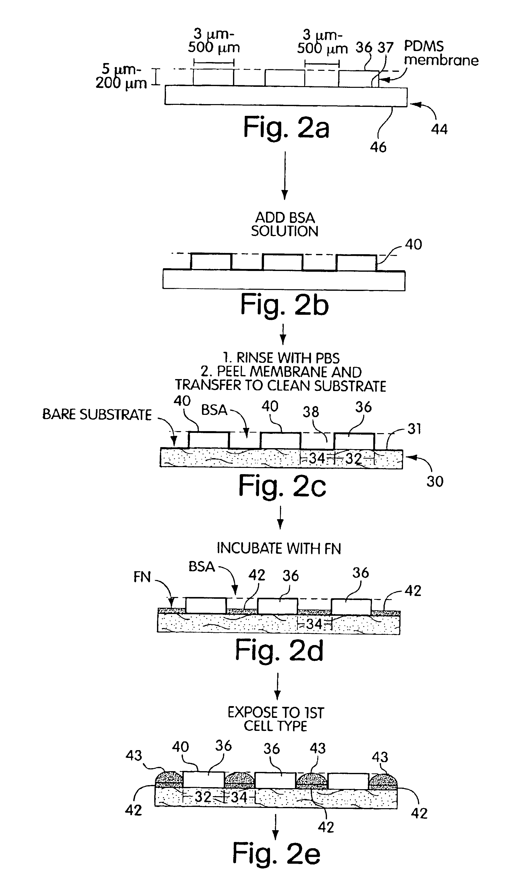 Method for cell patterning