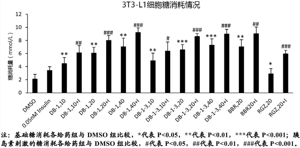 Uses of matrine derivatives in treatment of diabetes mellitus