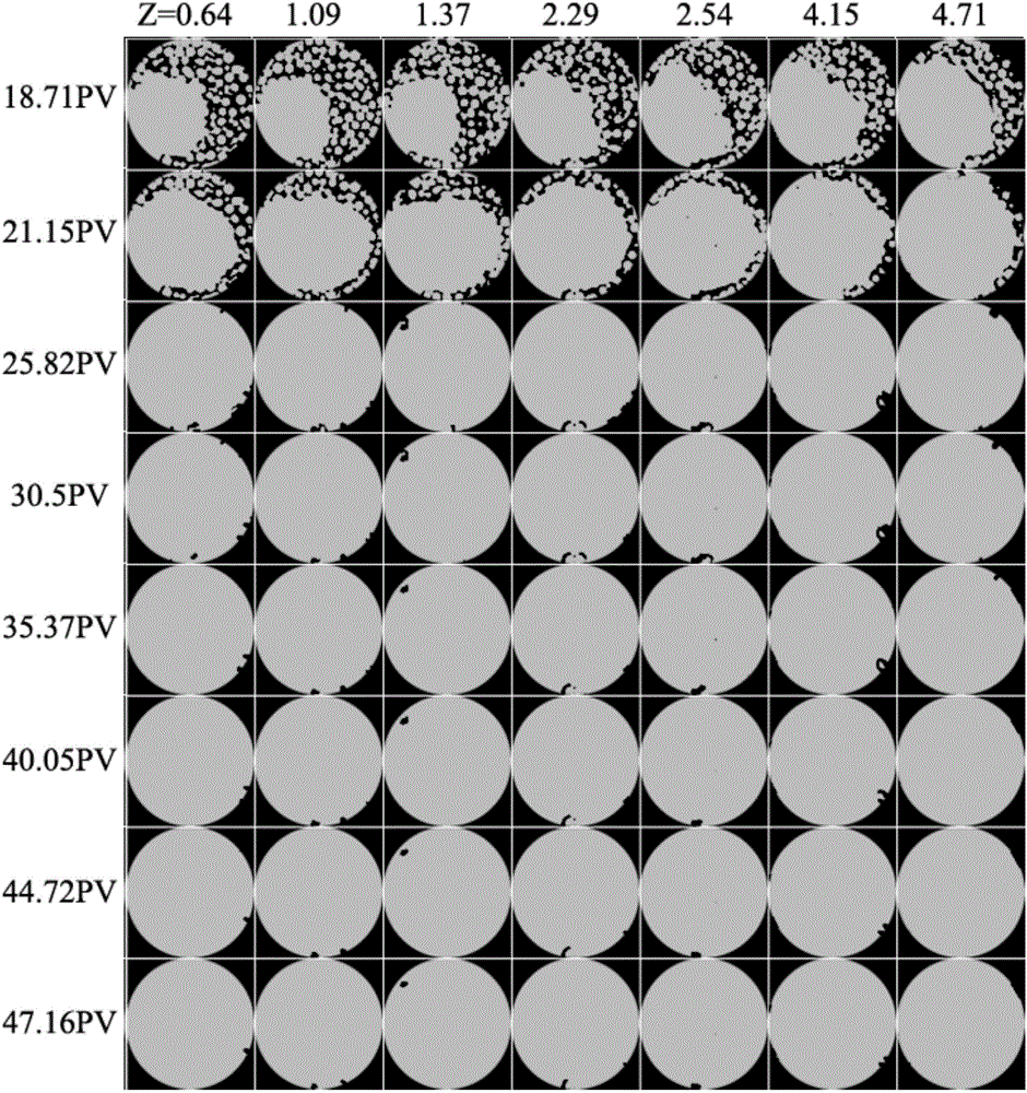 Device and method for measuring Sherwood number between gas and liquid in porous medium by applying CT (Computed Tomography)