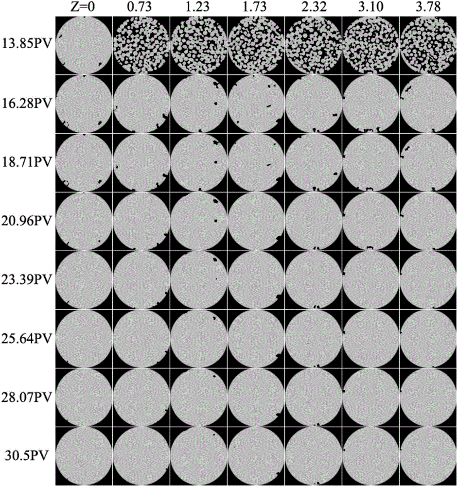 Device and method for measuring Sherwood number between gas and liquid in porous medium by applying CT (Computed Tomography)