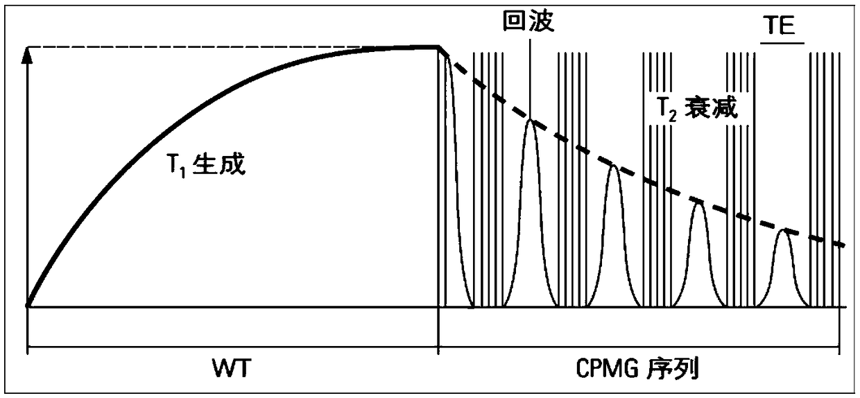 Method for measuring hydrogen index of crude oil by nuclear magnetic resonance