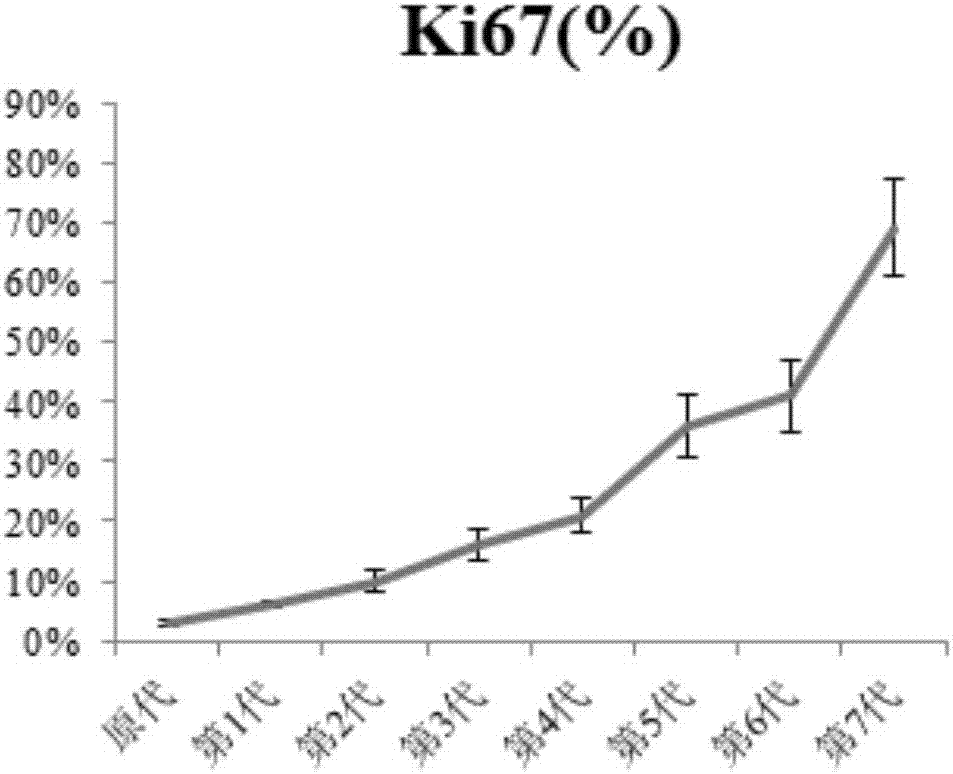 Establishment and applications of human pituitary adenoma cell line