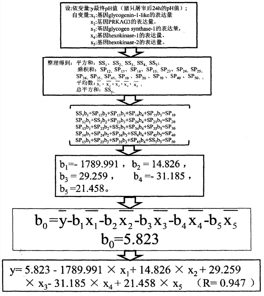 Identification or prediction method of pork quality