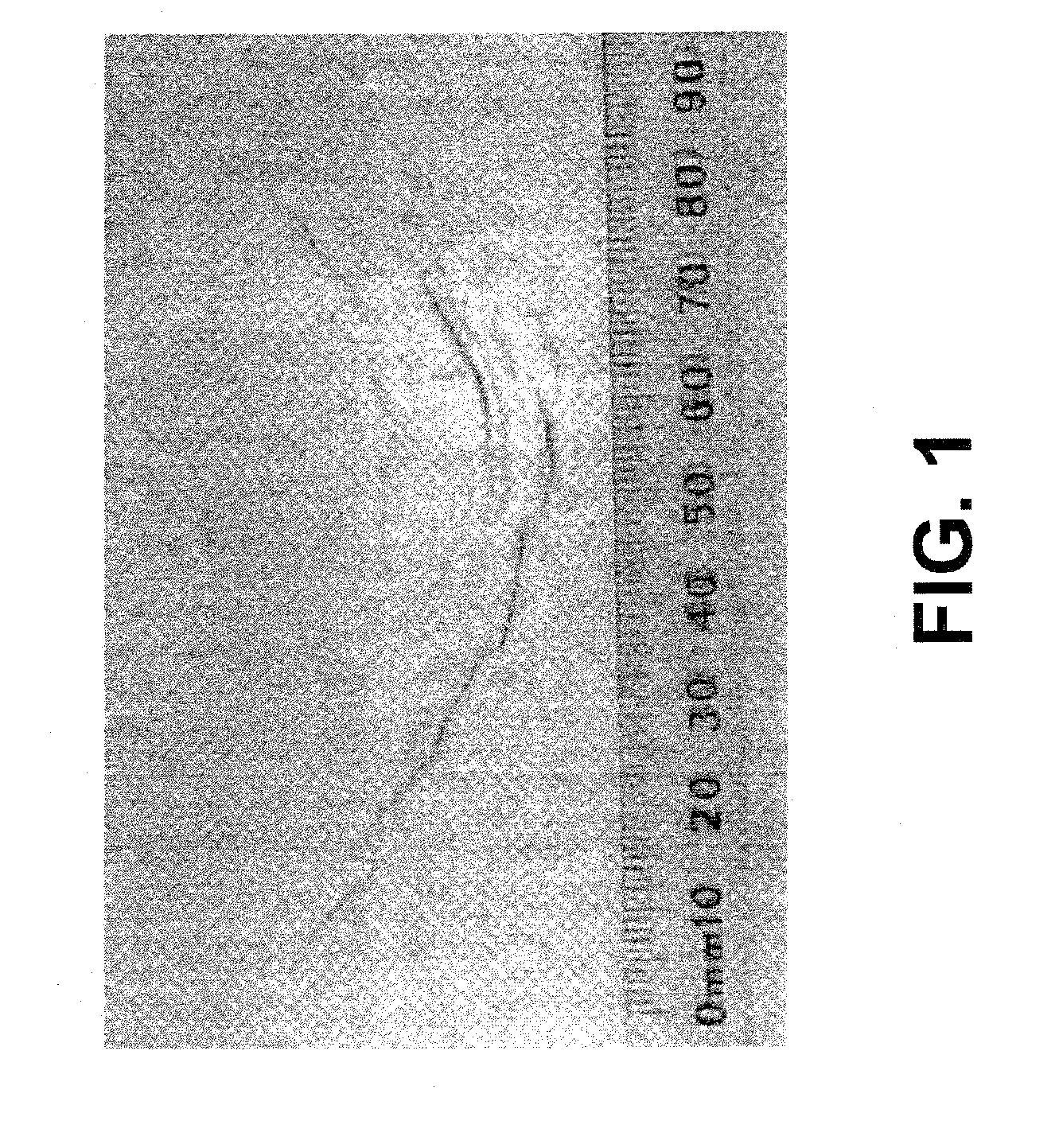 Thin cast strip with controlled manganese and low oxygen levels and method for making same