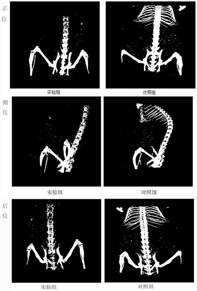 Preparation method and application of gold nanocages