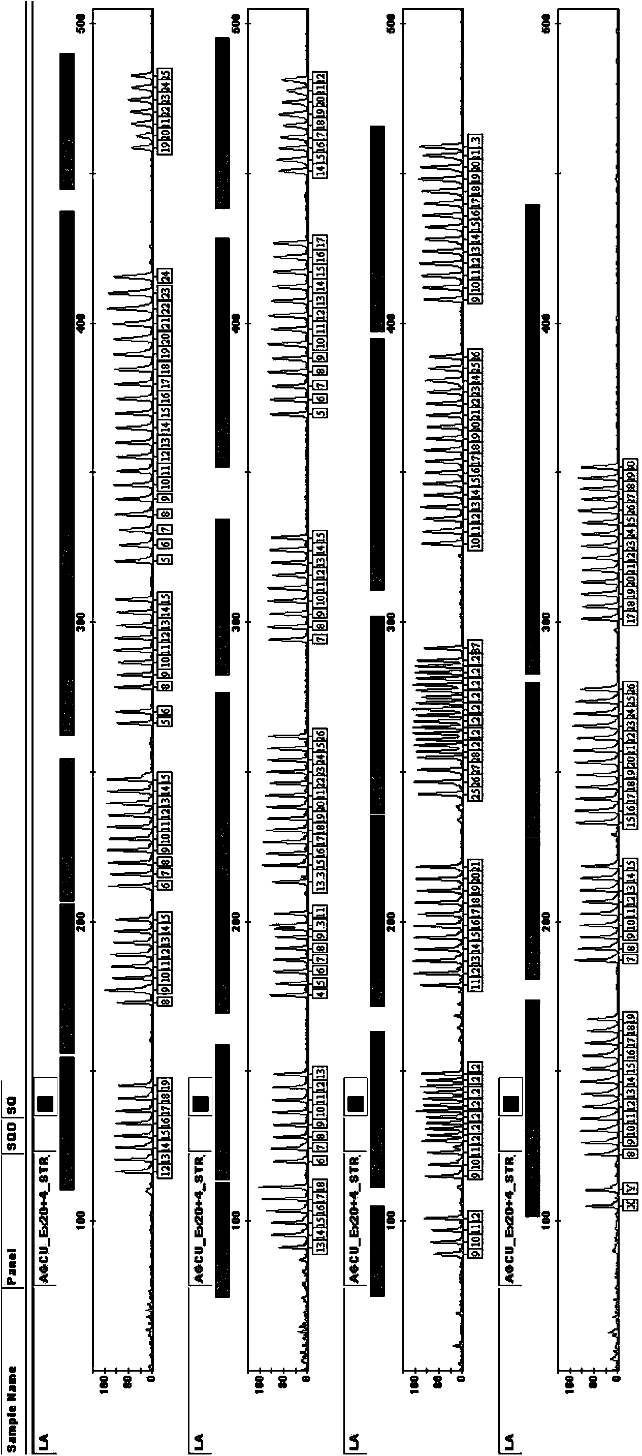 Kit for multiplex amplification of 24 loci of human genome DNA