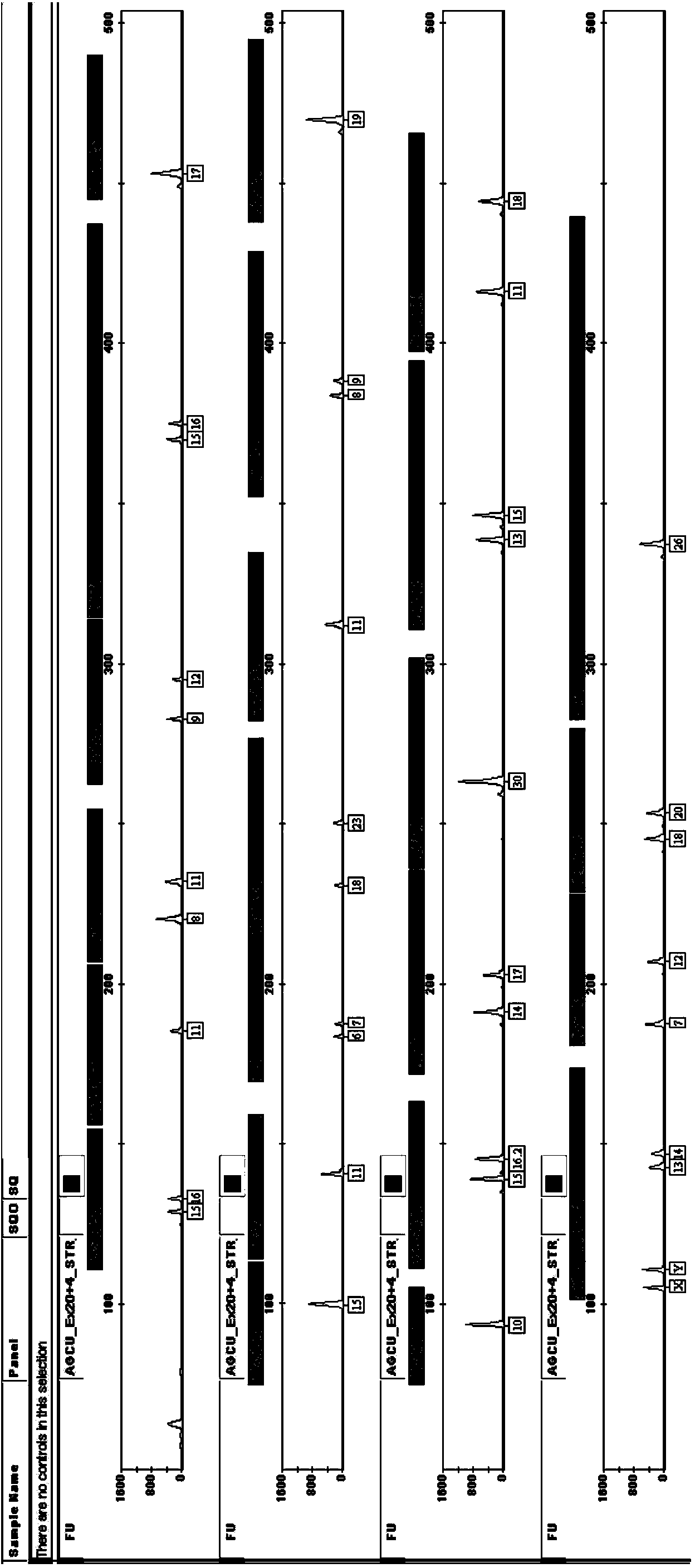 Kit for multiplex amplification of 24 loci of human genome DNA