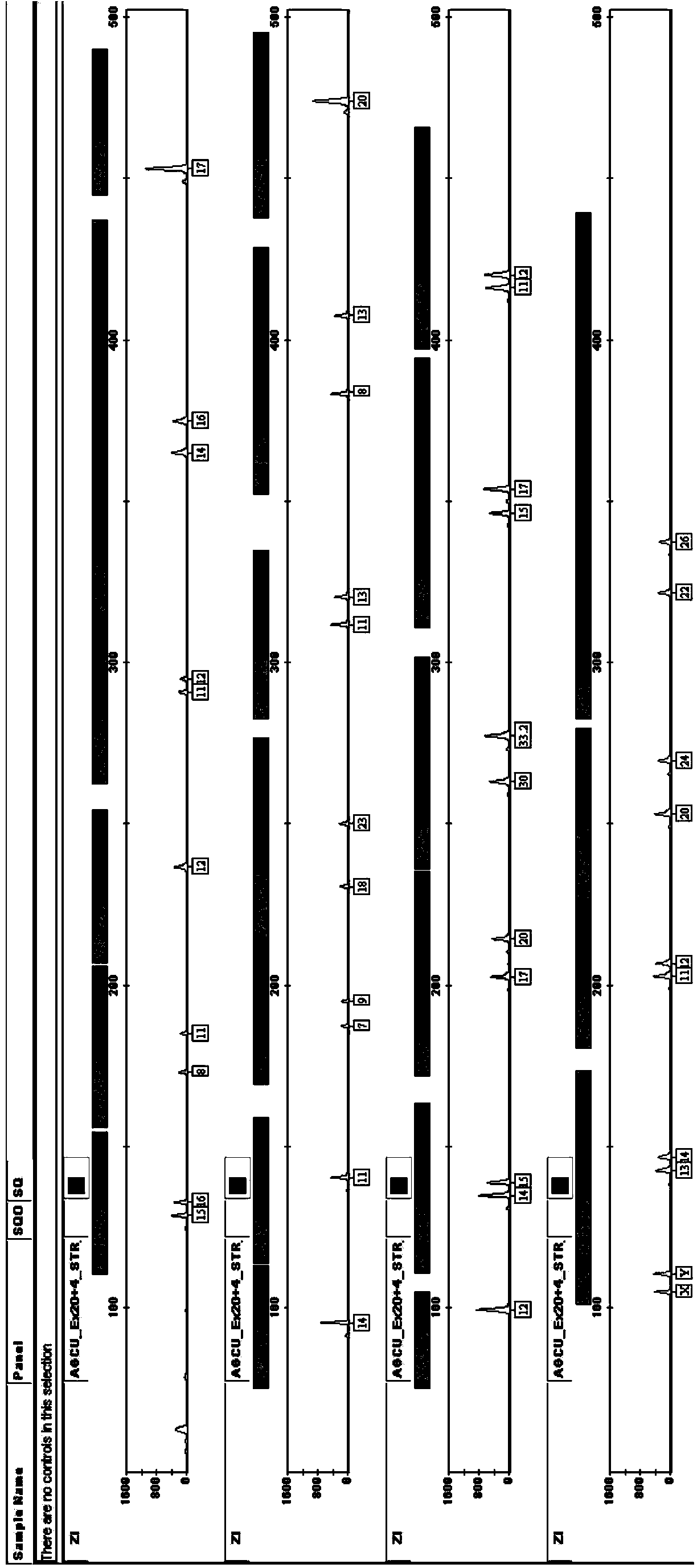 Kit for multiplex amplification of 24 loci of human genome DNA