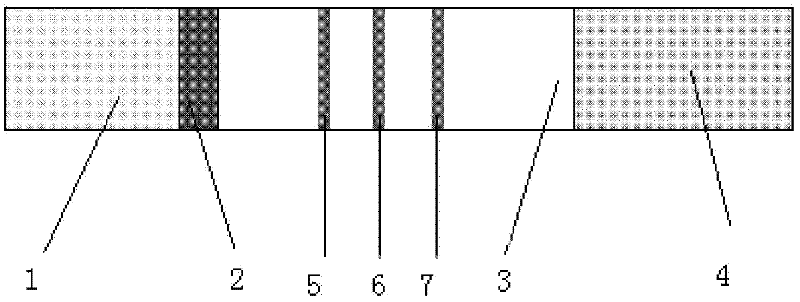 Immune chromatography test strip for detecting cystic echinococcosis and alveolar echinococcosis and preparation method