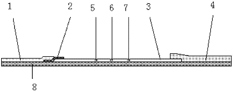 Immune chromatography test strip for detecting cystic echinococcosis and alveolar echinococcosis and preparation method